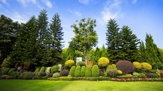 Sustainable Environment