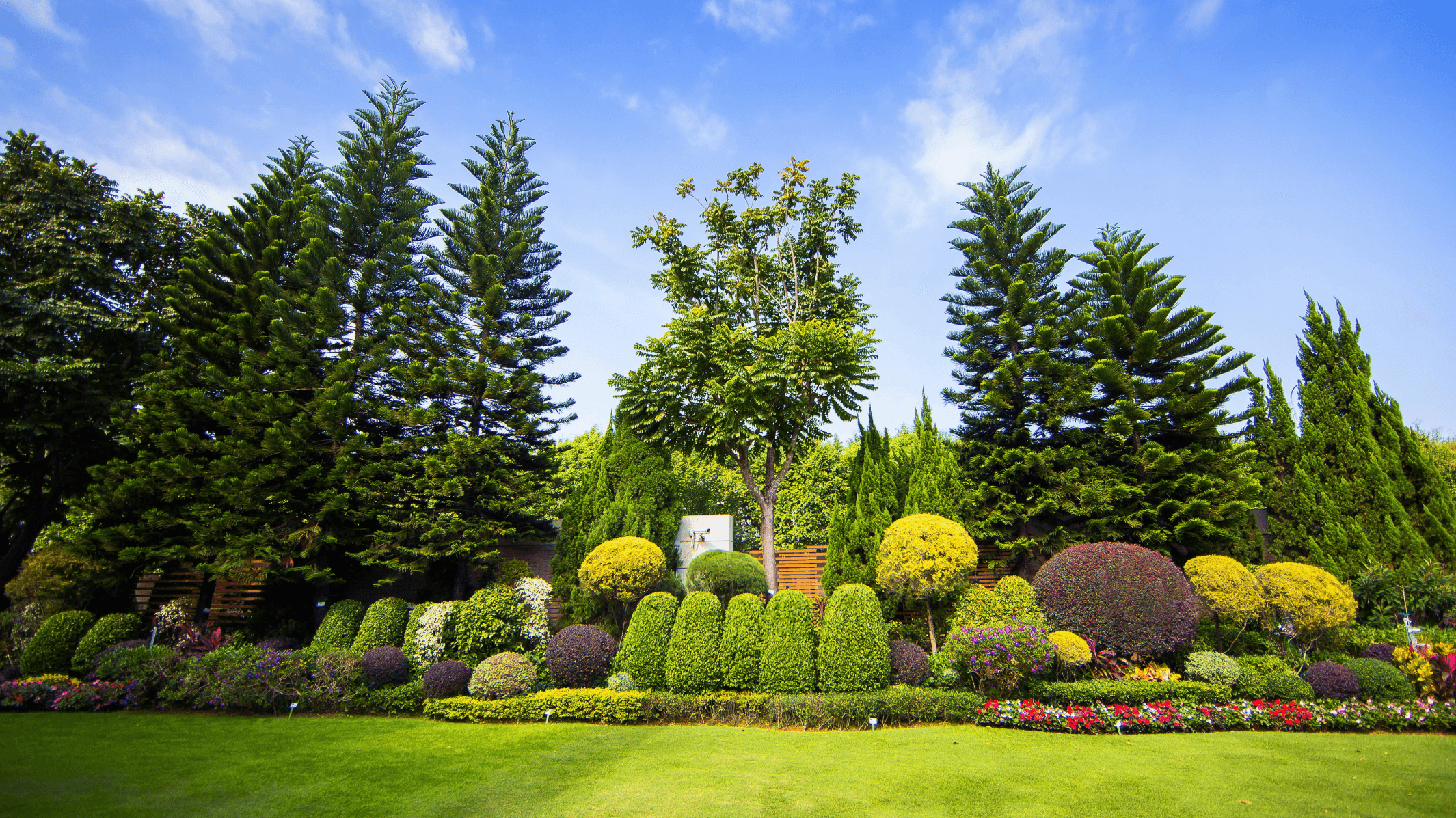 Sustainable Development Report