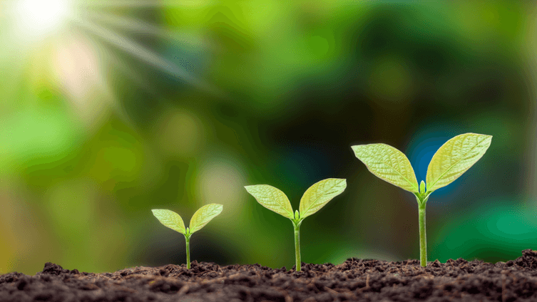 力高環保服務有限公司