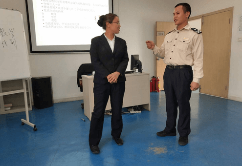 Domestic professional training