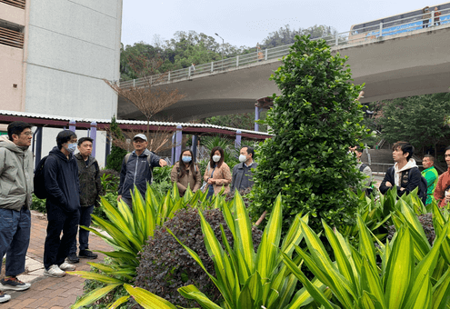 Gardening and landscaping